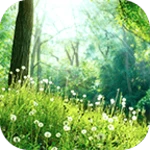 Logo of Green Forest android Application 